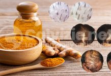 La curcuma funziona per i capelli? la curcuma funziona per i capelli