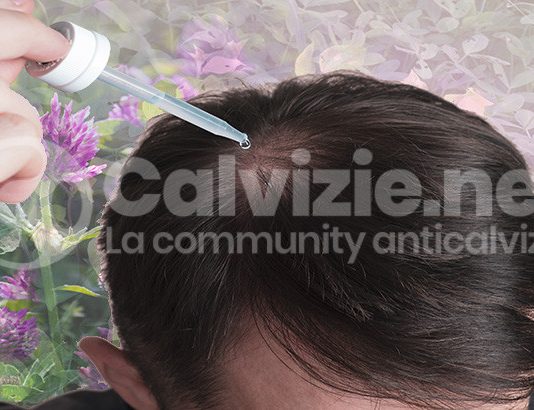 Trifoglio e azuki danno ricrescita dei capelli?