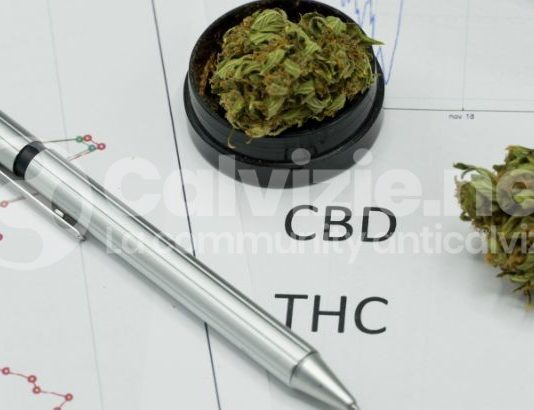 CBD per capelli: l’intervista